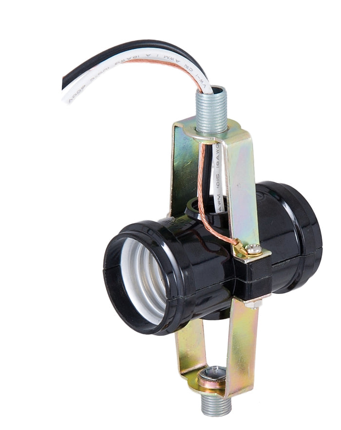 Double Edison Base Socket