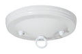 5" Dia. White Gloss Canopy & Hardware Kit, 1/8 IP Slip, Matching Finish