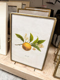 Brass & Glass Photo -5"L x 7"H