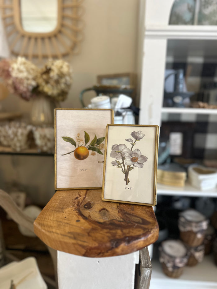Brass & Glass Photo -5"L x 7"H