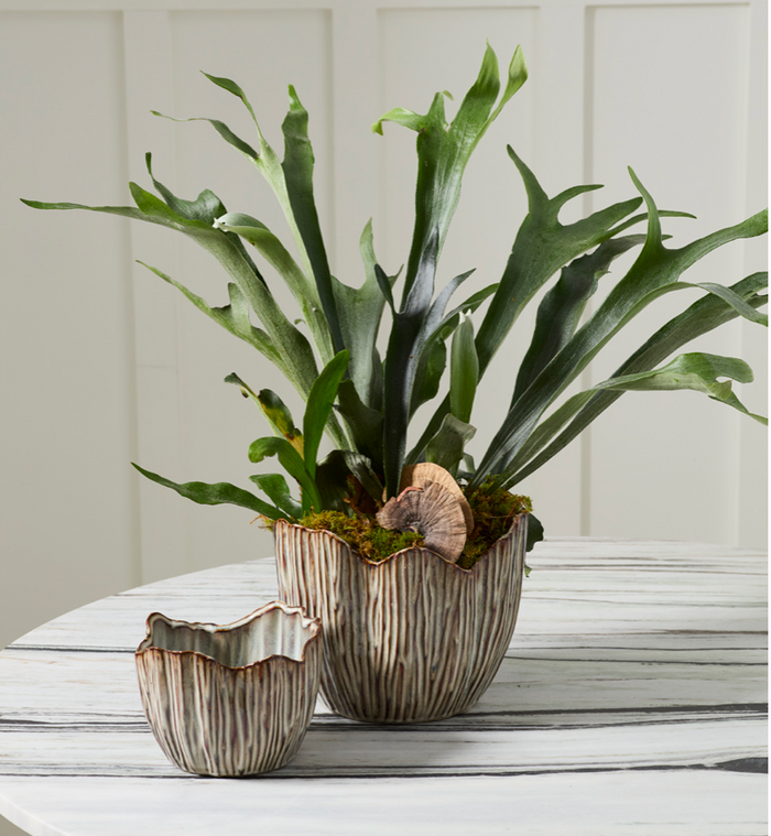 Capira Pot, large