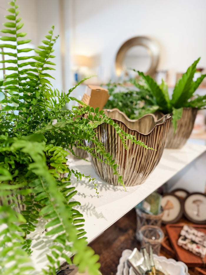 Capira Pot, small