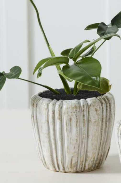 Cedric Pot