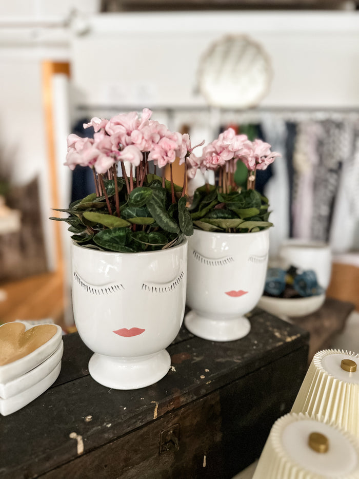 Celﬁe Pot