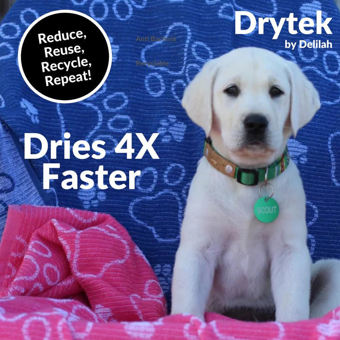 Labrador Retriever sitting on pink Delilah home pet towel and navy Delilah home pet towel in the background with text saying" Dries 4x Faster", "Reduce, Reuse, Recycle, Repeat!", and "Drytek by Delilah"