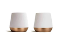 Two white wine glasses with gold bases on a white background