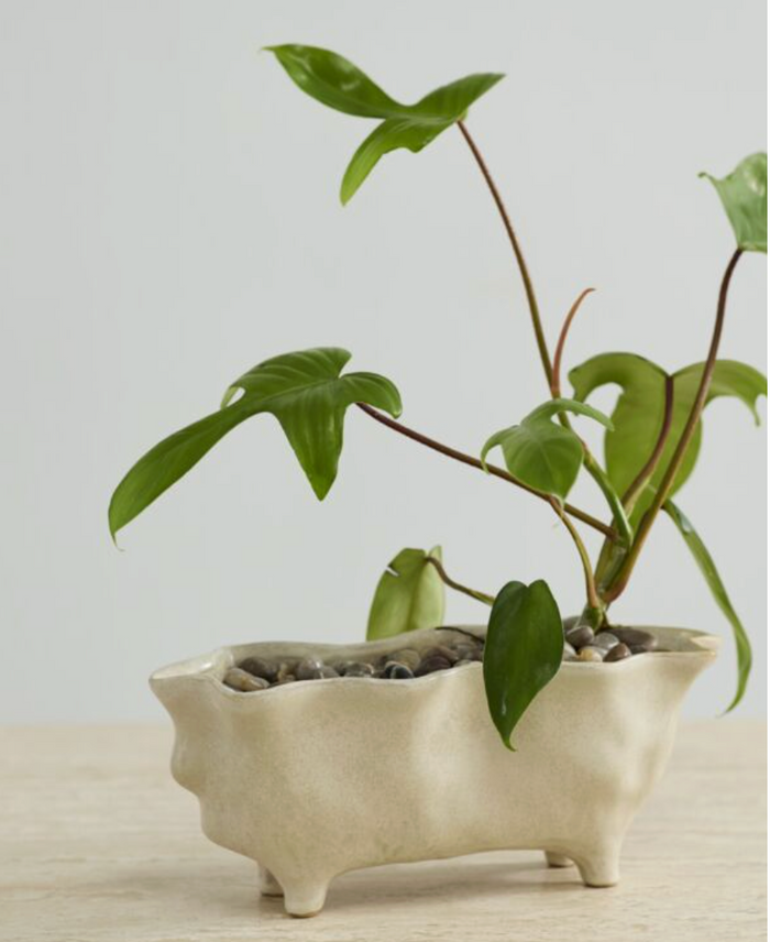 Glaslow Planter