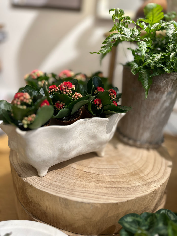 Glaslow Planter