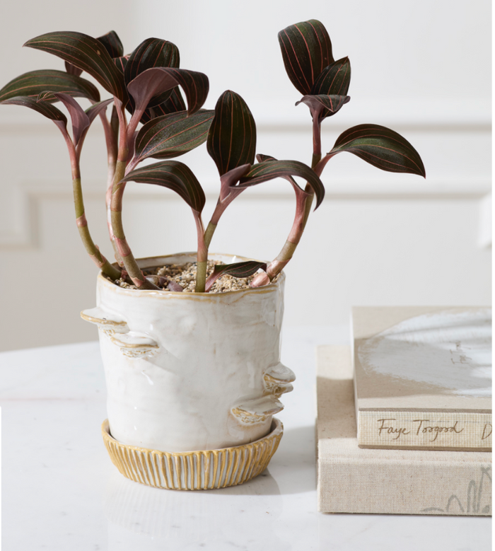 Mushroom Pot w/ Saucer, small