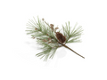 Needle Pine Tree with Glitter Branch/ Pinecones Pick 14" Mn12