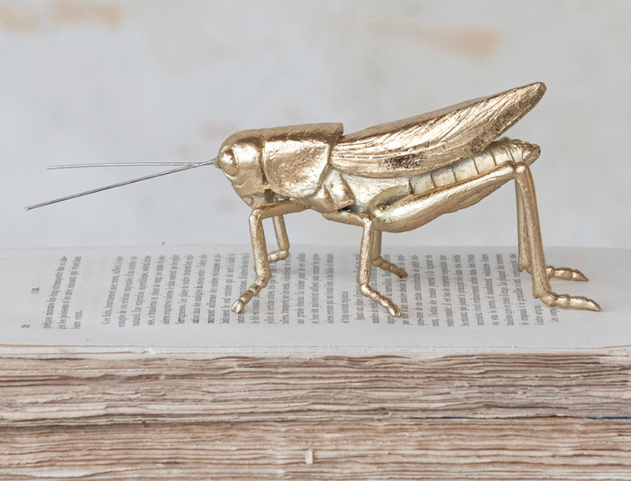 Resin & Metal Grasshopper, Gold Finish