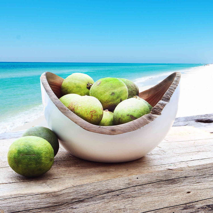 Rico & Plato adagio teak bowl with white exterior with limes placed inside displayed on a wooden surface and a beach background