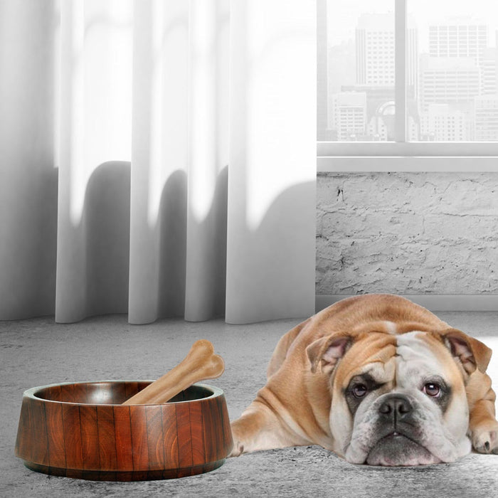 Mahogany, large dog bowl with a dog bone placed inside next to an English bulldog displayed in a white bedroom