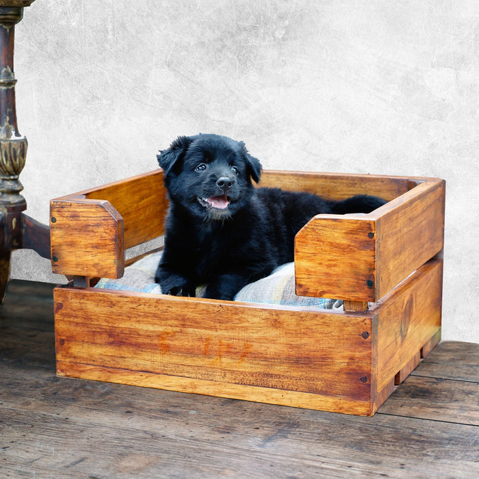 Small black dog laying inside Rico & Plato max wooden pet bed with cushion in a living room setting