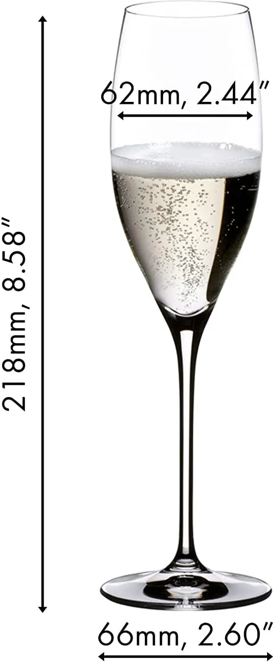 Champagne flute with measurements on a white background