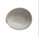 Stoneware-Shell-Bowl