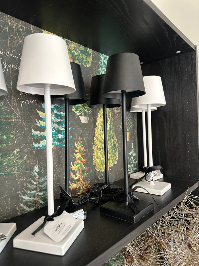 White LED wireless table lamp